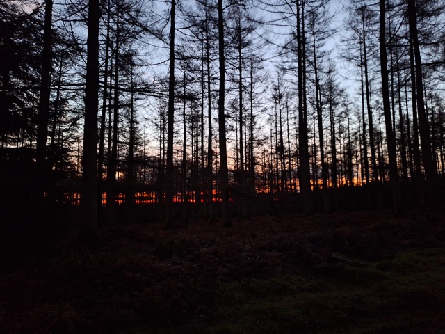 Reflection on the last day of&nbsp;2024